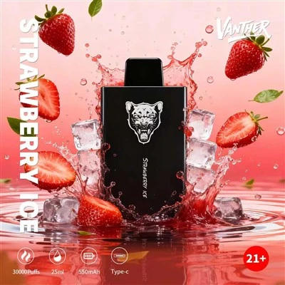 Bang King VANTHER 30000PUFFS-DSK077 Puff Vape