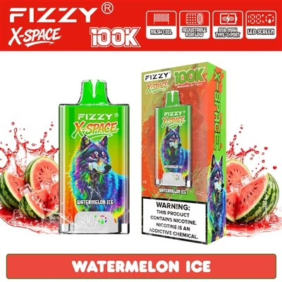 FIZZY X-SPACE 100K Einweg-Vaporizer